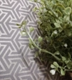 Absztrakt mintás design tapéta 531916 