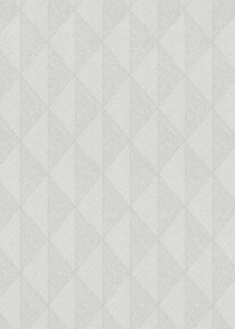 Geometrikus mintás vlies tapéta, fehéresszürke / platina 10524-31