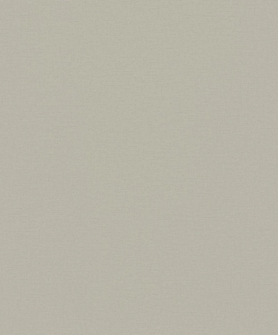 Taupe / Szürkésbézs Egyszínű Finomtextúrált Vlies Tapéta 34839