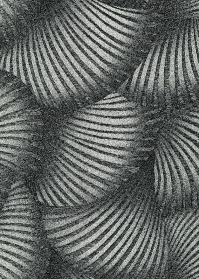 Legyezőmintás vlies tapéta, fekete / ezüst 10525-29